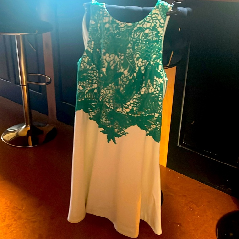 Anthropology dress - beautiful lace.